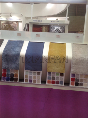 Simple carpet rack DE802